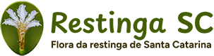 Restinga SC